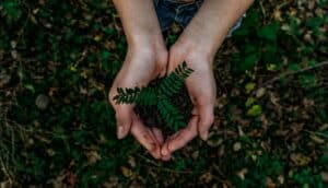 Sustainability in Finance