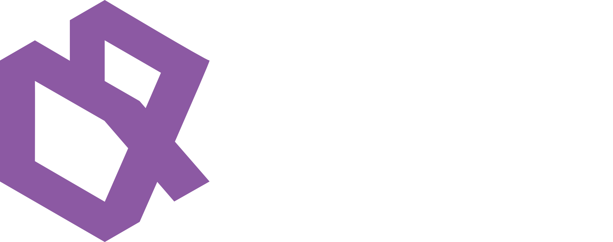 Report Authority – XBRL-enabled financial reporting software by Authority Software