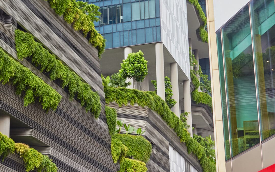 The revised ESRS are coming: what does this mean for digital reporting?
